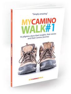 My Camino Walk
