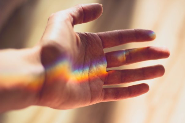 connection-hand-palm-87584.jpg